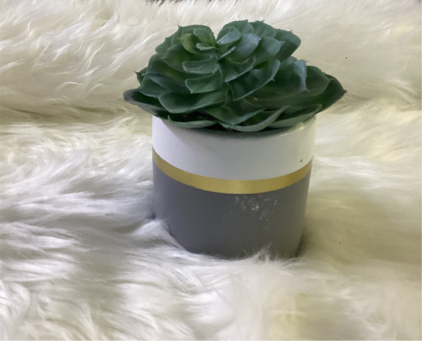 SUCCULENT IN POT