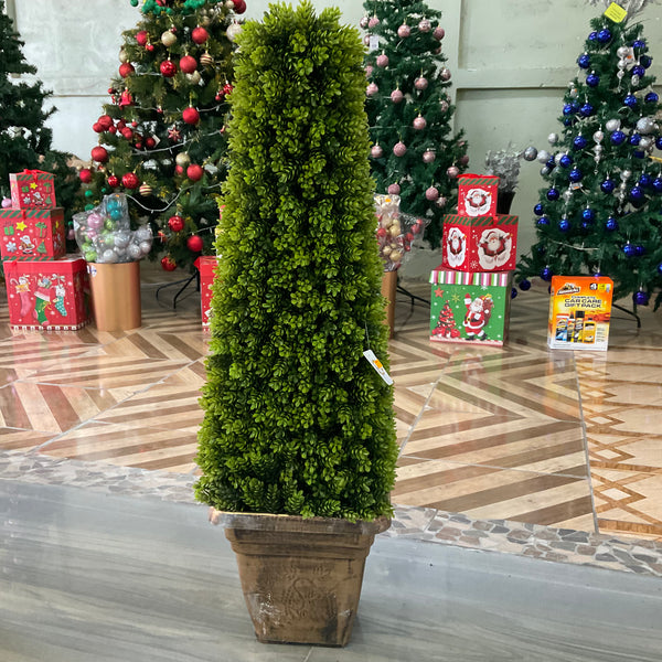 CONE SHAPED BOXWOOD TOPIARY