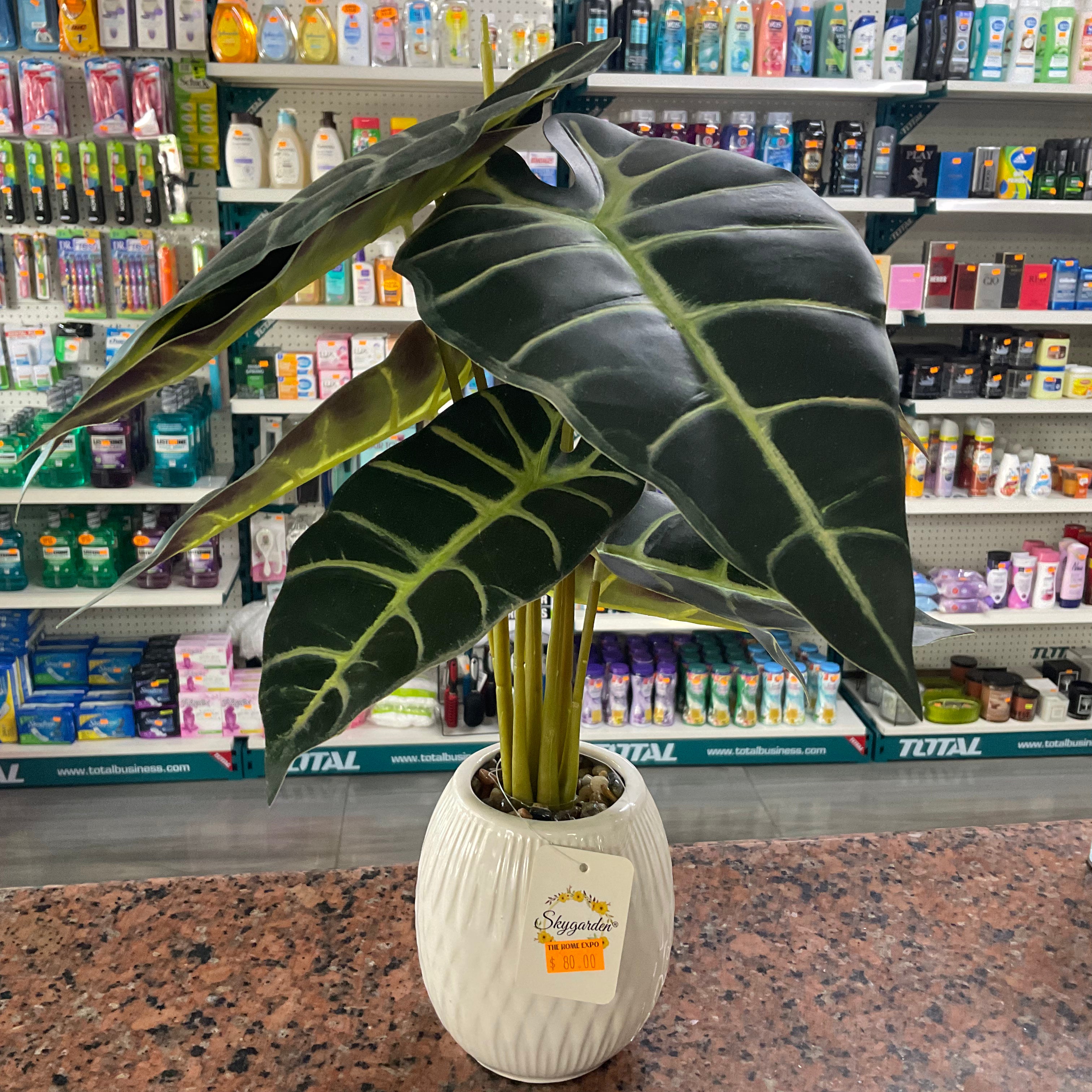 artificial elephant ear plant indoors INDOOR ARTIFICIAL FOOTED ELEPHANT EAR PLANT IN POT – THE HOME EXPO