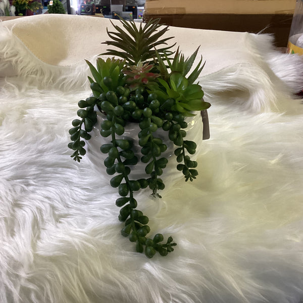 CERAMIC POT WITH SUCCULENTS