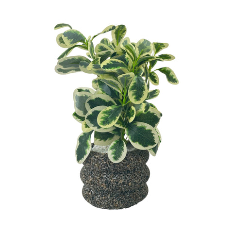 BABY RUBBER ARTIFICIAL PLANT IN POT