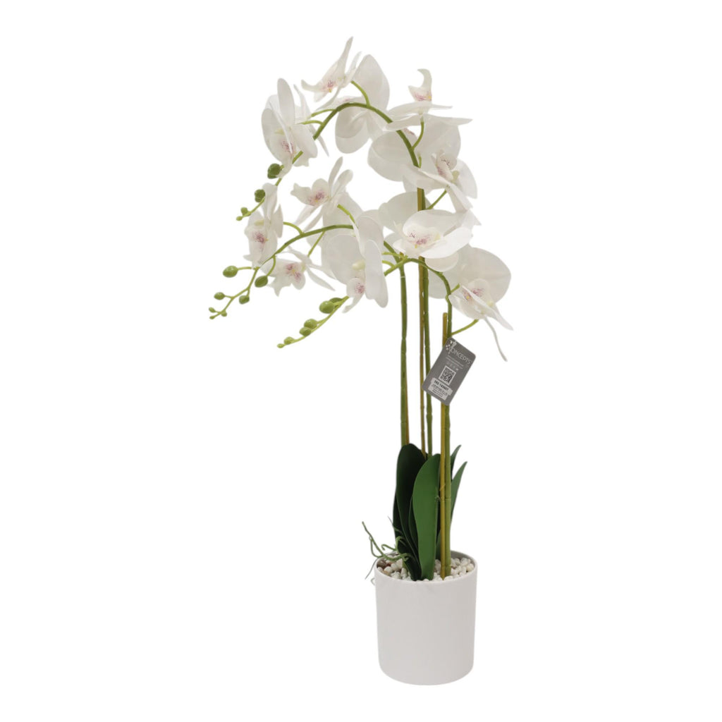 70CM REAL TOUCH ORCHID X 17 flowers