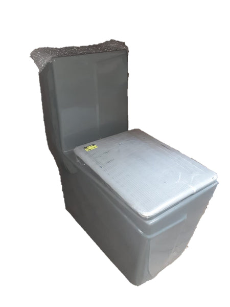 Grey One-Piece Toilet