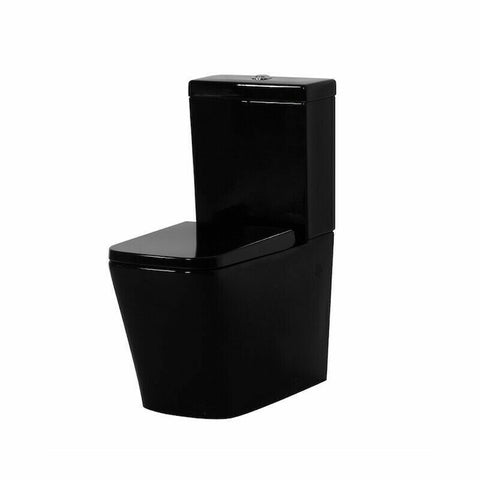 Black One-Piece Toilet